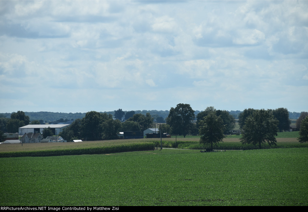 Sneaking through the Cornfield